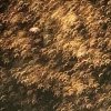 春花秋月（退出）的头像