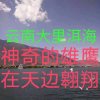 俏夕阳。的头像