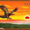神鹰的头像
