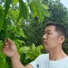 陈清林的头像