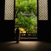 聆听雨声的头像