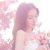 婕西贝尔的头像
