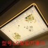 芳的头像