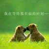 聆听细雨的头像