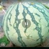 幸运的头像