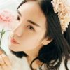 你是风儿，我是莎的头像