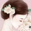 轻风的头像