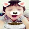 胖胖的头像