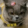 敏的头像