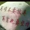 铿锵芳香的头像