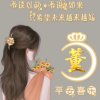 语过添情的头像