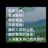 紫色淡雅（拒私信）的头像