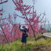 静静的头像