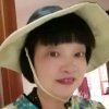 LILy的头像