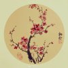 梅舒的头像
