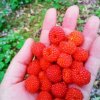 小燕‘忙暂离’‘不在互动’的头像