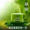 今世缘JSY的头像