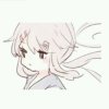 【双笙阁】西柚的头像
