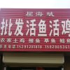 (批发，活鸡，活鱼)15291281819的头像