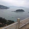 皇室淡然的头像