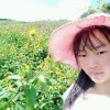 安之从容——安容的头像