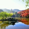 魅力勇哥的头像