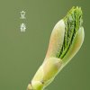 勿忘我的头像