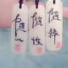随缘的头像