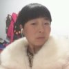 百灵鸟的头像