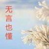 飘雪的头像