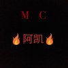 气质阿凯吖的头像