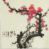 小草依然的头像