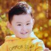 自由如风的头像