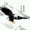 雄鹰展翅的头像