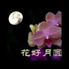 花好月圆的头像