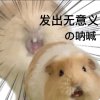 w的头像