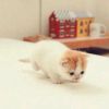 无名的头像