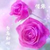 缘份天空的头像