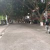 快乐水晶梦《暂退》的头像