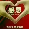 幸福杨的头像