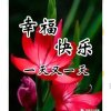 永远不会忘记你(停币)的头像