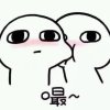 笙的头像