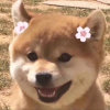 七笙的头像