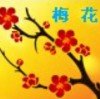 梅花的头像