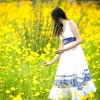 紫竹悠悠【退，取关随意】的头像
