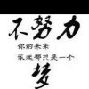 浪迹天涯的头像