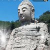 真爱一生的头像