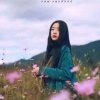 雨鸽的头像