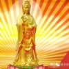 随缘的头像
