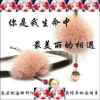 天意的头像